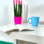 Sasa Apartman *